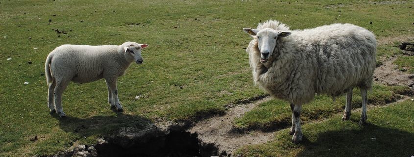 Kinder und Erziehung