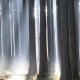 Waldbild Tod und Übergang